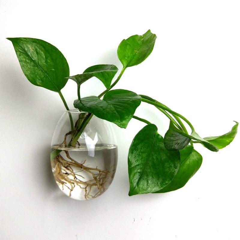 墙饰挂墙花盆创意家居卧室墙壁装饰品墙面壁挂水培玻璃恐龙蛋花瓶