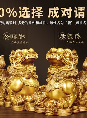 貔貅招财摆件公母一对旺财聚财全纯铜家用办公室居家客厅豸皮丘貔