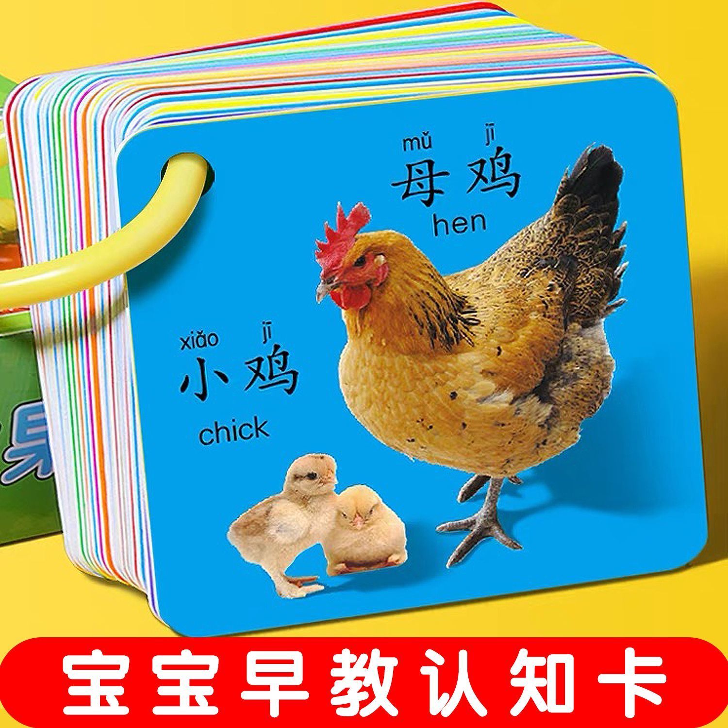 动物卡片早教识字看图识物玩具