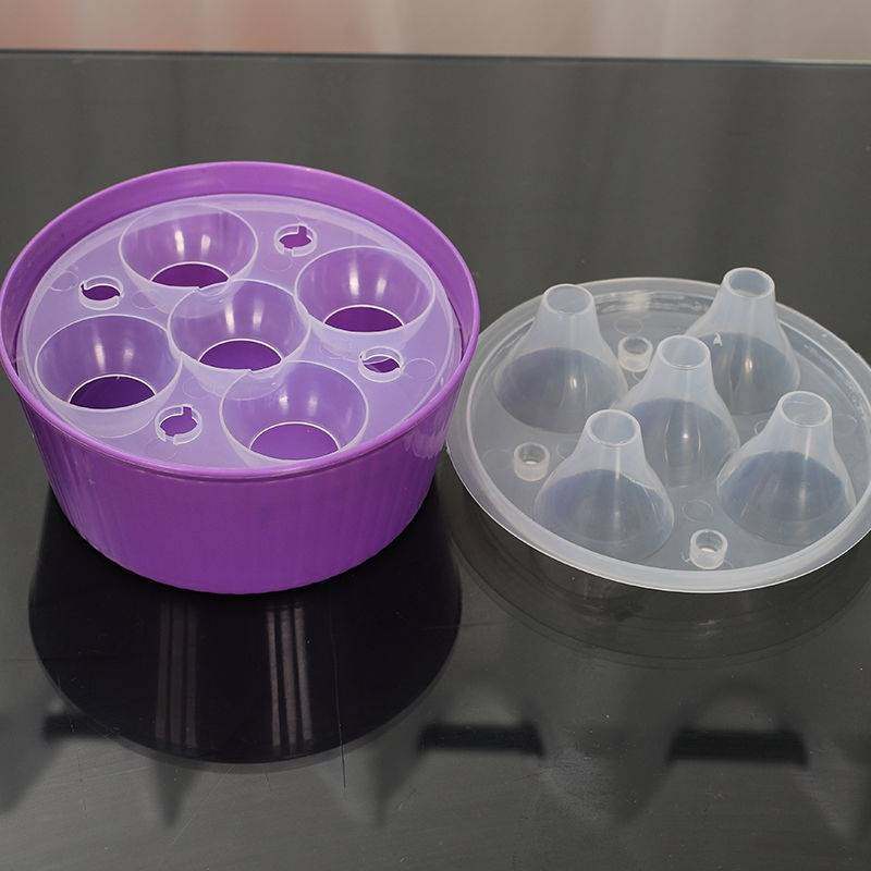 郁金香种球专用花盆风信子水培器皿5孔栽5颗郁金香庭院植物器皿