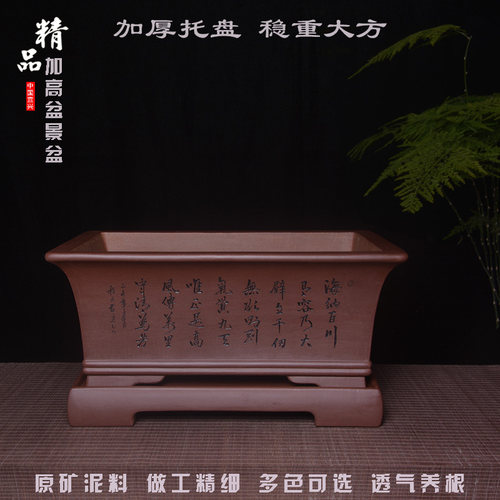 宜兴紫砂长方形盆景盆精品手工原矿加高大号紫色马槽盆栽透气花盆