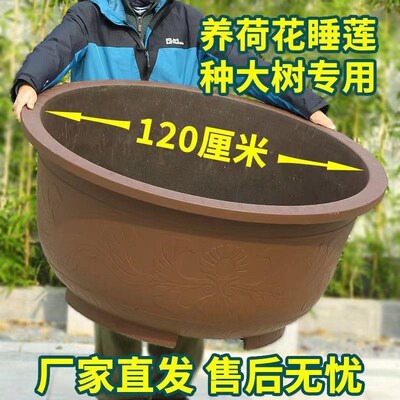 特大号花盆塑料加厚大口径果树花盆户外庭院园林种树养睡莲荷花盆