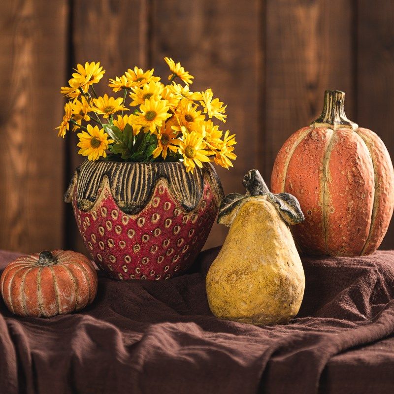七茉 创意多肉植物花盆微景观装饰品绿萝盆栽花园小摆件工艺品,家居饰品,花盆,淘宝优惠券,粉丝福利购,淘宝优惠卷