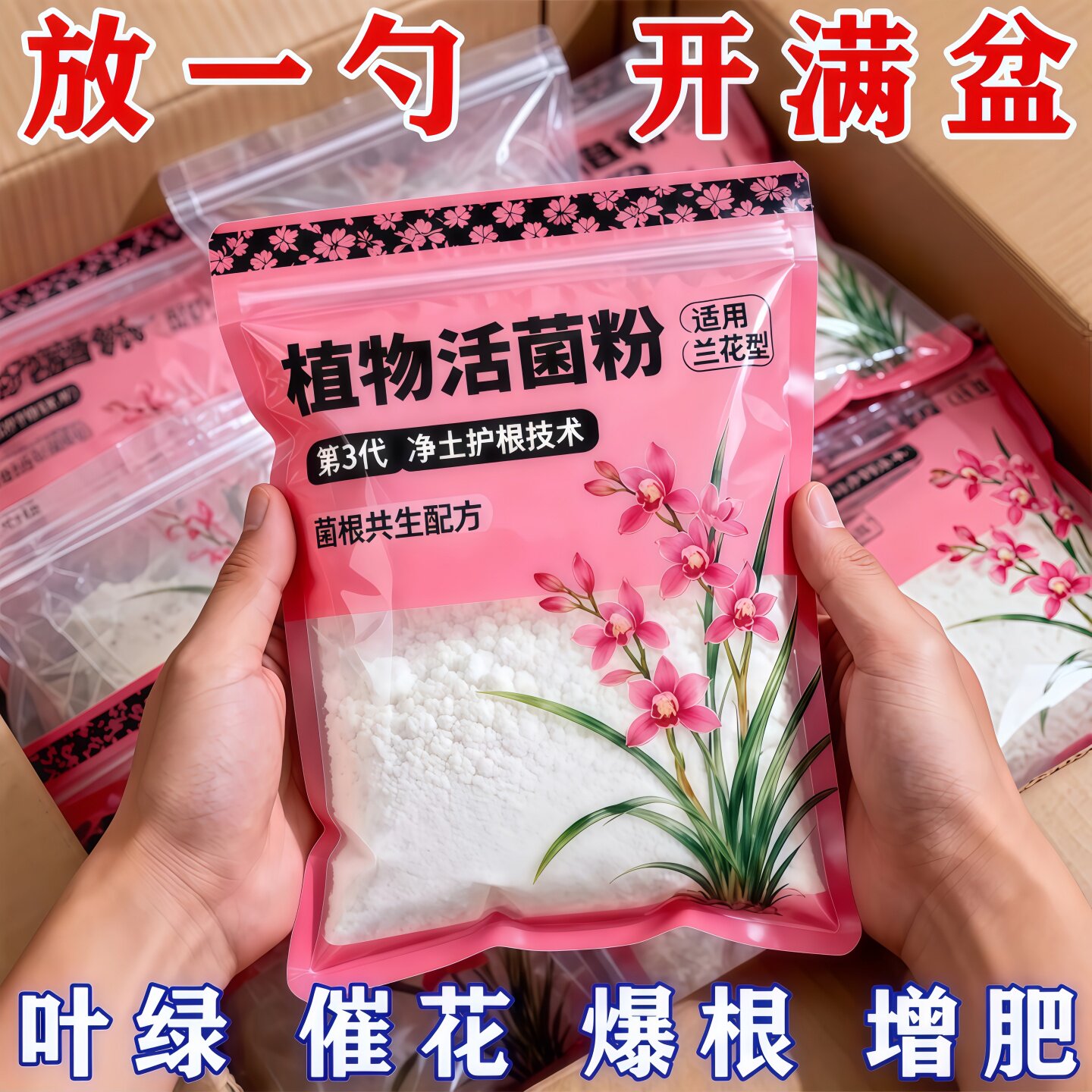 植物活菌粉兰花专用菌微生物菌剂养根壮根防烂根水溶肥兰菌粉肥料
