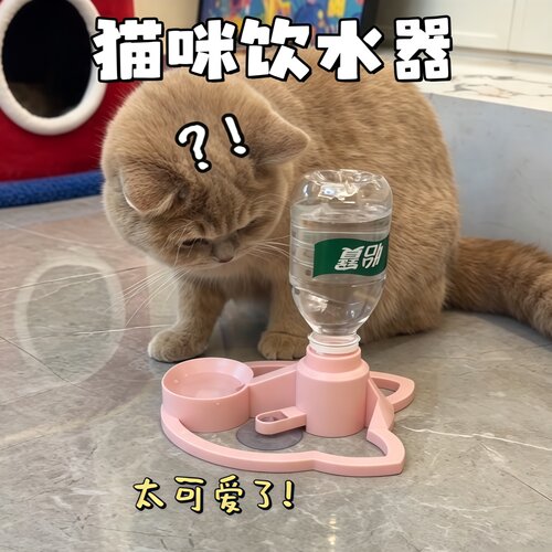 宠物自动饮水器喝水神器