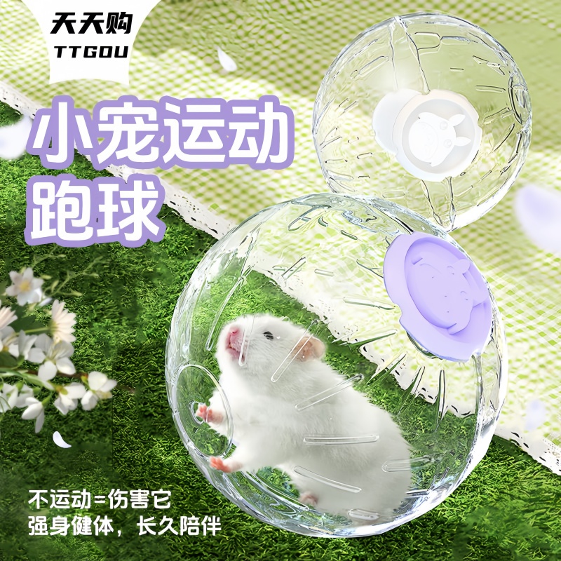 仓鼠跑球跑轮滚轮静音运动球支架金丝熊松鼠用品跑步球滚球户外球