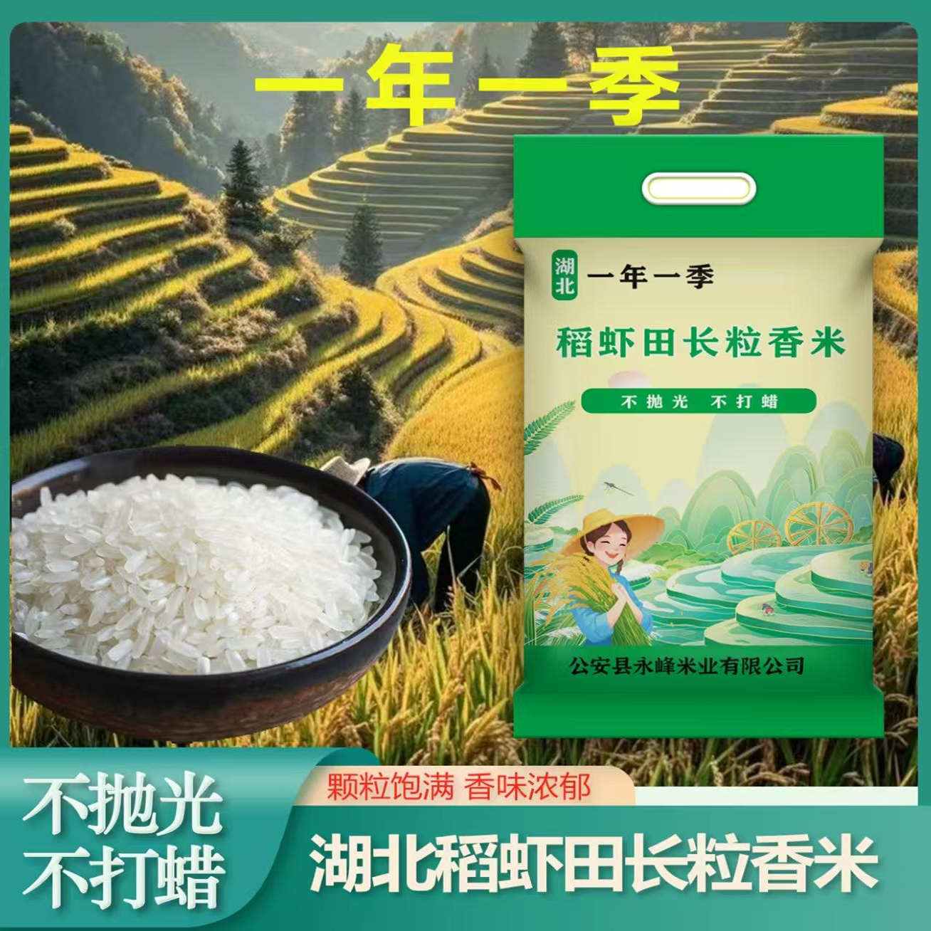 湖北晚稻丝苗米长粒香米新米茉莉香米农家大米煲仔饭米专用油粘米