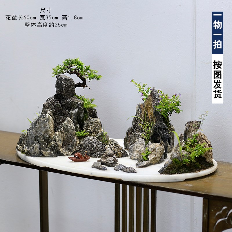 假山造景天然原石盆景植物真柏室内客厅办公室绿植盆栽玄关摆件