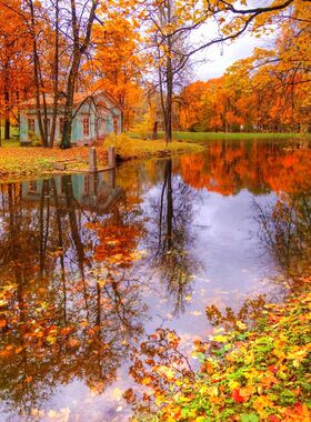 DIY数字油画自己填色银杏秋色枫红叶树林小路山水风景家居装饰画