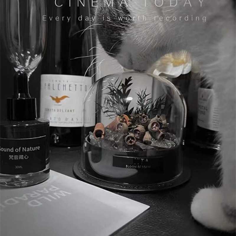 无火香薰礼盒高级感礼物卧室摆件持久留香助眠扩香石晶石香氛精油