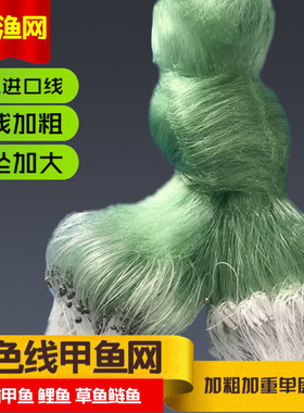 绿色加粗丝单层渔网粘网沉网专捕甲鱼老鳖10指略加重米龟大鱼网