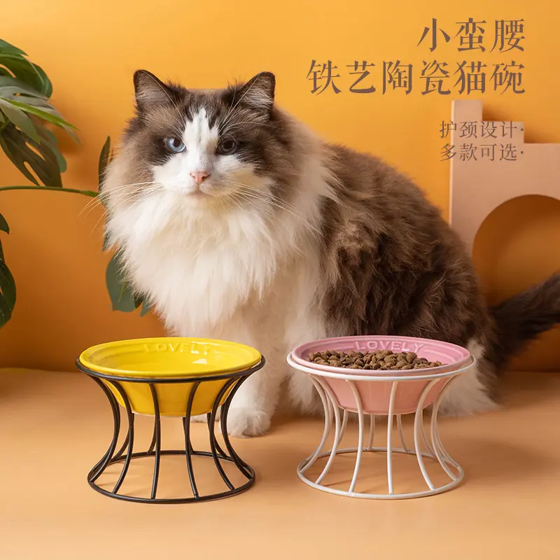 法国同款陶瓷猫碗防打翻饮水碗宠物餐盘防黑下巴猫粮碗护颈釉下彩