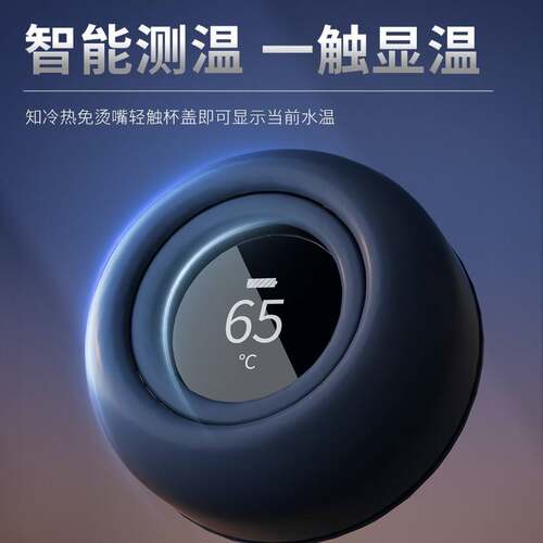 BNRU陶瓷智能显温商务保温杯办公室茶水分离泡茶车载便携茶杯水杯