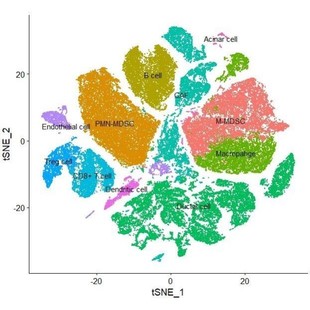 转录组数据分析TGCA数据库来源GEO单细胞转录组ATACseq建库测序
