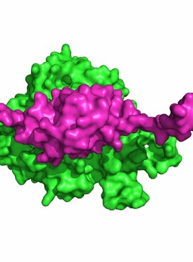 Docking分子模拟分子对接分子动力学设计服务费