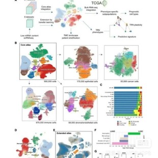 分子对接分子动力学模拟MMGBSA结合自由能计算