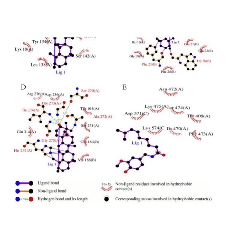 分子对接专业代做/做图分析/同源建模/SCI/PyMOL3D图/Ligplus2D图