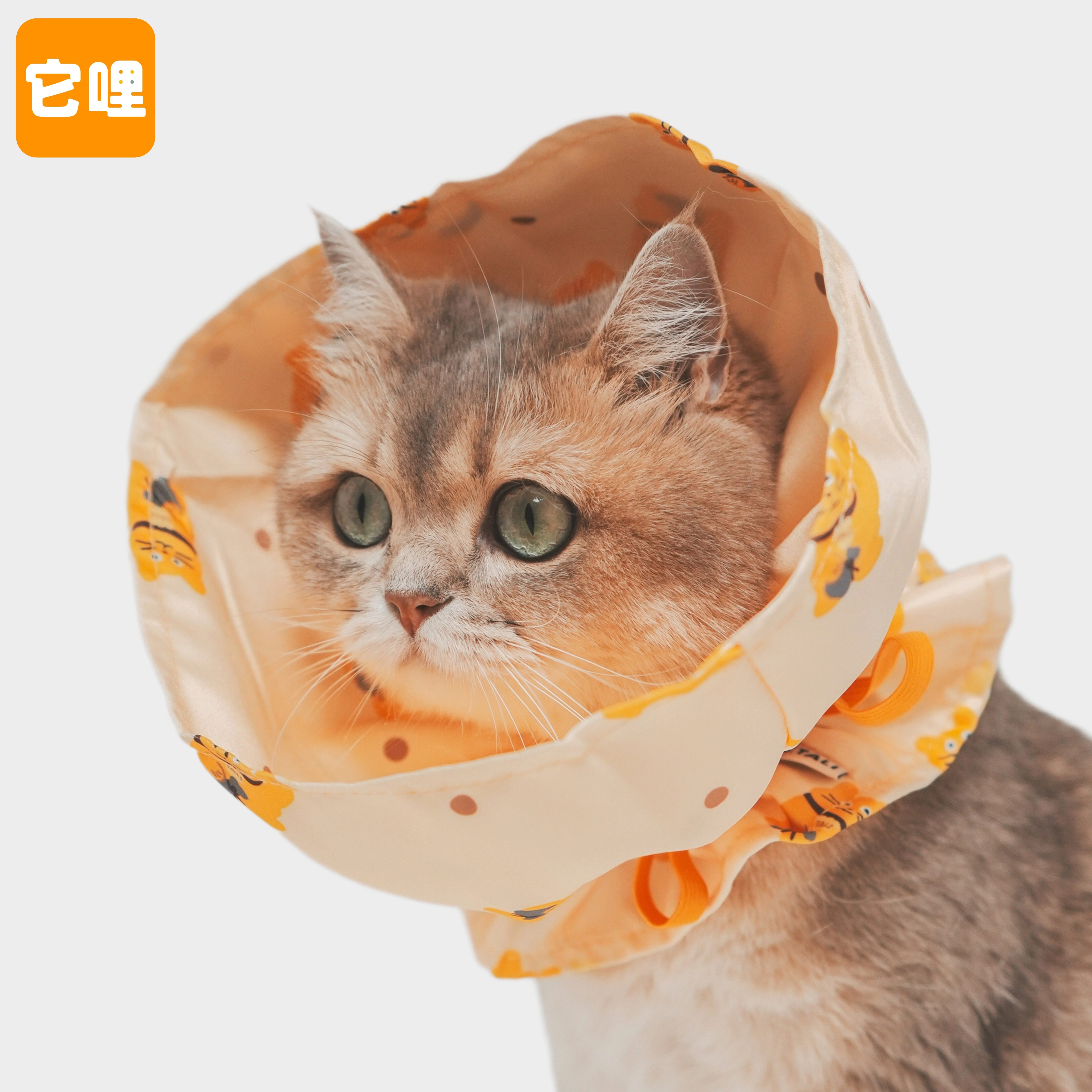 它哩TALI猫狗宠物伊丽莎白圈