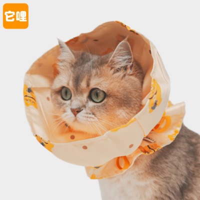 它哩TALI猫狗宠物伊丽莎白圈