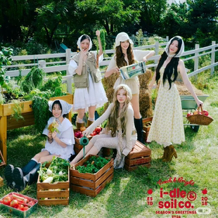 2026年官方台历宋雨琦小卡idle周边海报 女娃 全新正版 GIDLE