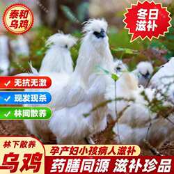 乌鸡整只原种泰和散养乌骨鸡新鲜整只乌鸡现杀正宗白毛煲汤土鸡