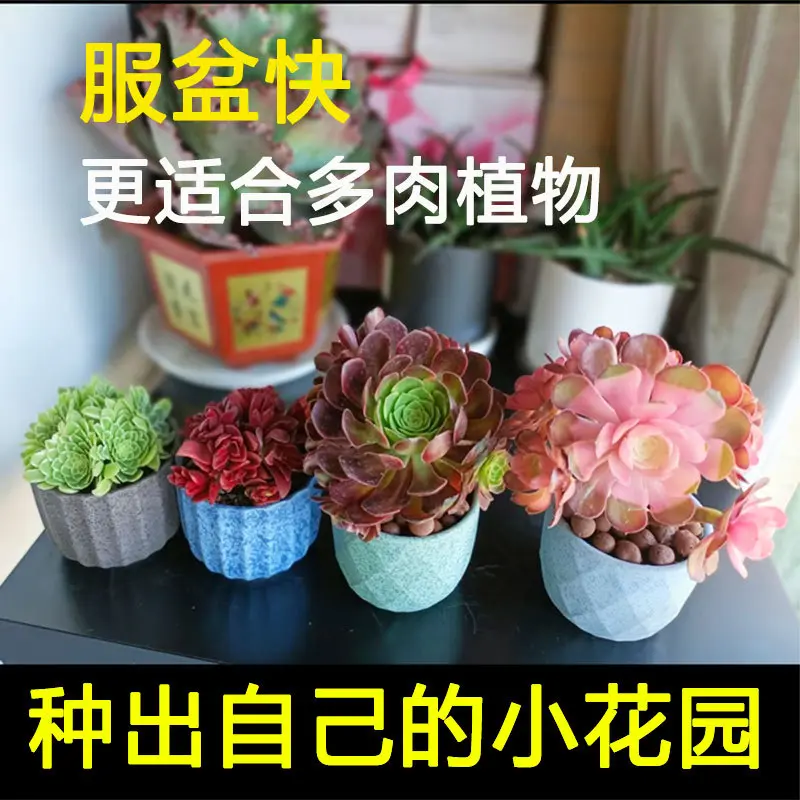 马槽拼盘大小号群生花盆简约家用肉肉陶瓷专用盆花托/移动托盘