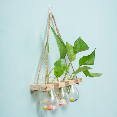 墙上花盆架麻绳挂墙花瓶室内壁挂B水培植物容器办公室墙面装饰玻