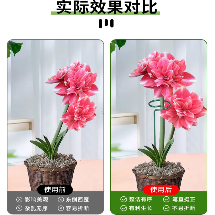 植物防倒伏支架铁艺绣球吊兰支撑杆园艺固定架爬藤花卉朱顶红花架,鲜花速递/花卉仿真/绿植园艺,花架,淘宝优惠券,粉丝福利购,淘宝优惠卷