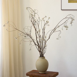 乌桕果小白果干i花花束树枝树干民宿干枝干果装饰插花侘寂风干真