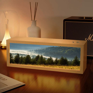 北欧森林风景灯光画送朋友发光礼物摆件卧室床头治愈系音响小夜灯