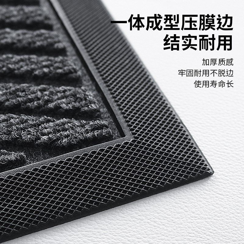 2024新c款地垫入户门垫高级感大门口进门家用脚垫门外耐脏防滑地