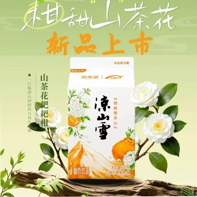 凉山雪酸奶饮品新口味山茶花耙耙柑味乳酸菌