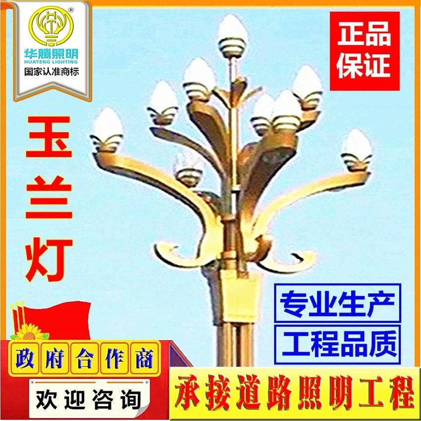 定制玉兰灯户外6米8米10米12米杆灯广场灯市政路灯LED玉兰灯
