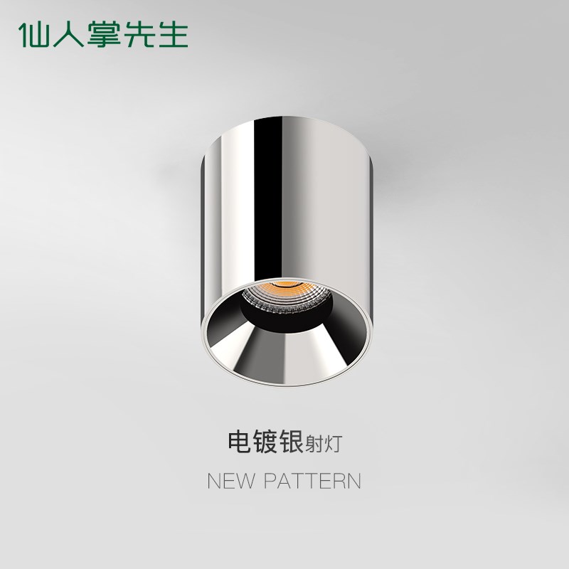 仙人掌先生明装筒灯不锈钢新款防眩电镀银色圆形超薄款中古风防眩