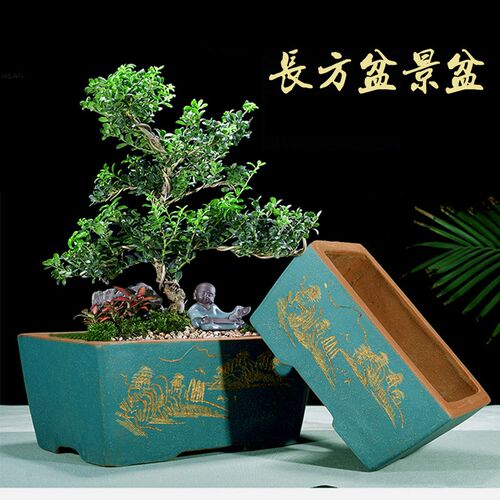 宜兴手工紫砂花盆室内花卉文竹长方形盆景盆榕树透气树桩盆马槽盆