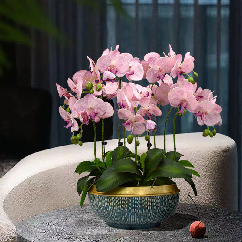 蝴蝶兰仿真花高品质肉感蕙兰花高端假花盆栽客厅餐桌前台花艺摆件