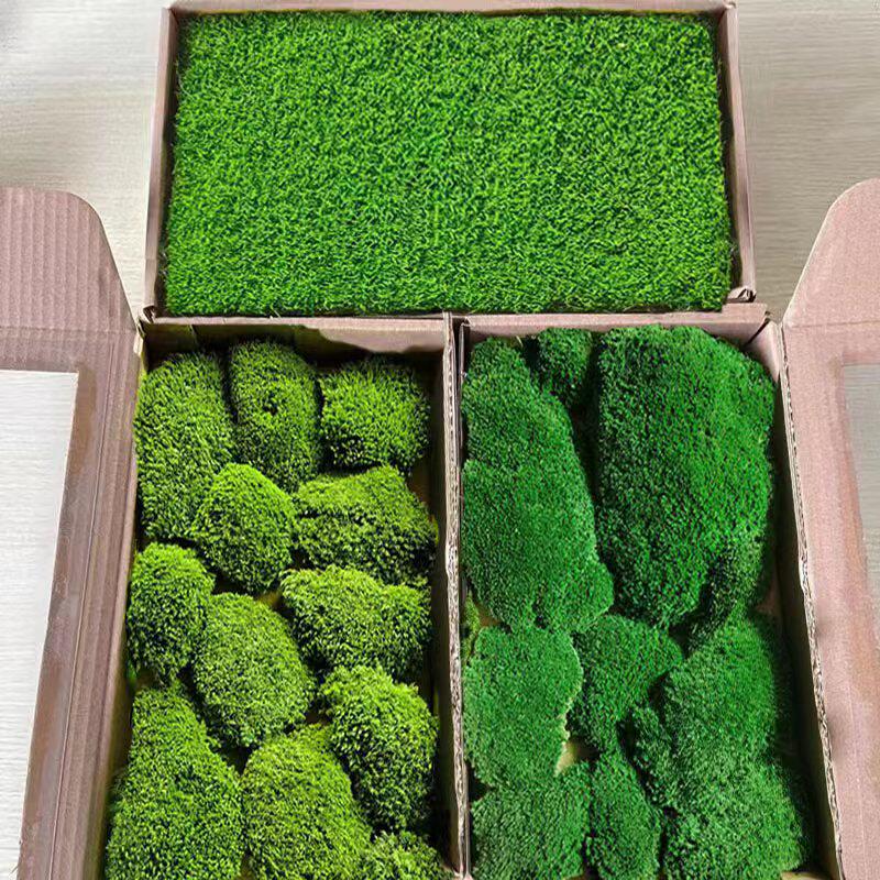 永生苔藓植物墙 室内墙面软装 工程墙铺面造景仿真青苔白发大灰藓