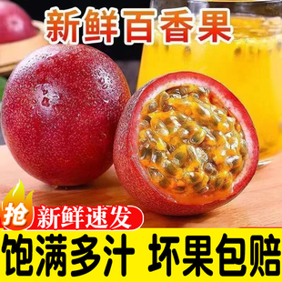 广西紫皮百香果大果新鲜水果包邮当应季紫皮果酱原浆柠檬汁新品种