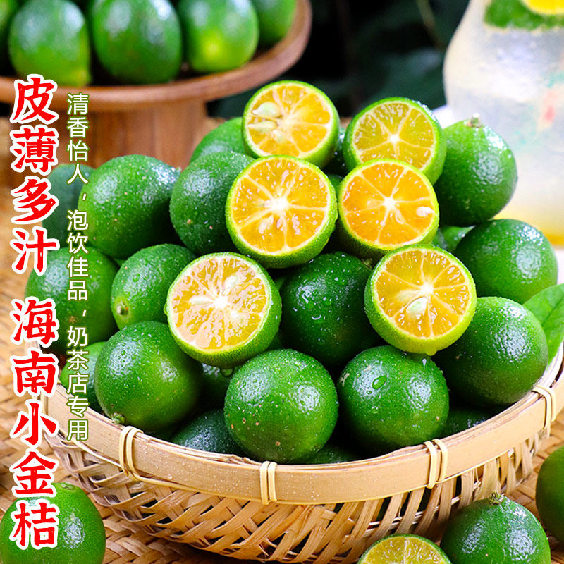 小青桔金桔新鲜青柠檬青柑皮薄
