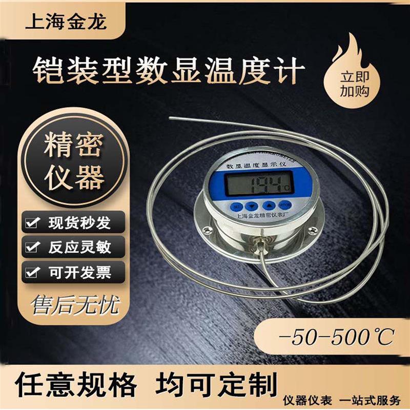 铠装型数显温度计WST491不锈钢丝高精度表耐腐蒸煮熬糖汤药测油温