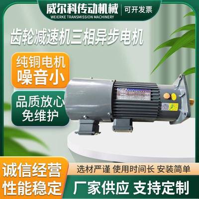 卧式变频调速马达厂家供应齿轮减速机三相异步电机