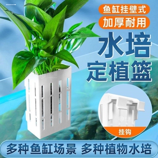 鱼缸边水培挂篮水草种植杯固定篮壁挂式植物固定支架造景装饰配件