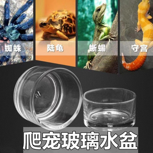 蜘蛛仓鼠用品爬宠小食碗爱心防破吃饭寄居蟹迷你专用仓鼠玻璃食盆