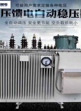 线路调压稳压器SVR-5000KVA10/0.4KV9-10.5解决线路不稳定问题