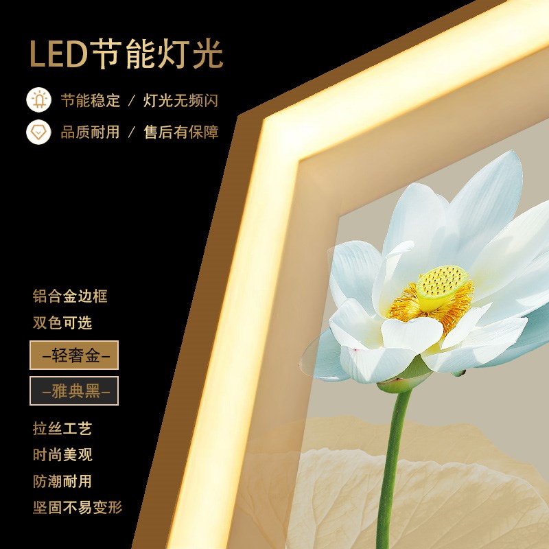 荷花玄关装饰画 莲花LED带灯画入户新中式客厅茶室走廊背景墙挂画