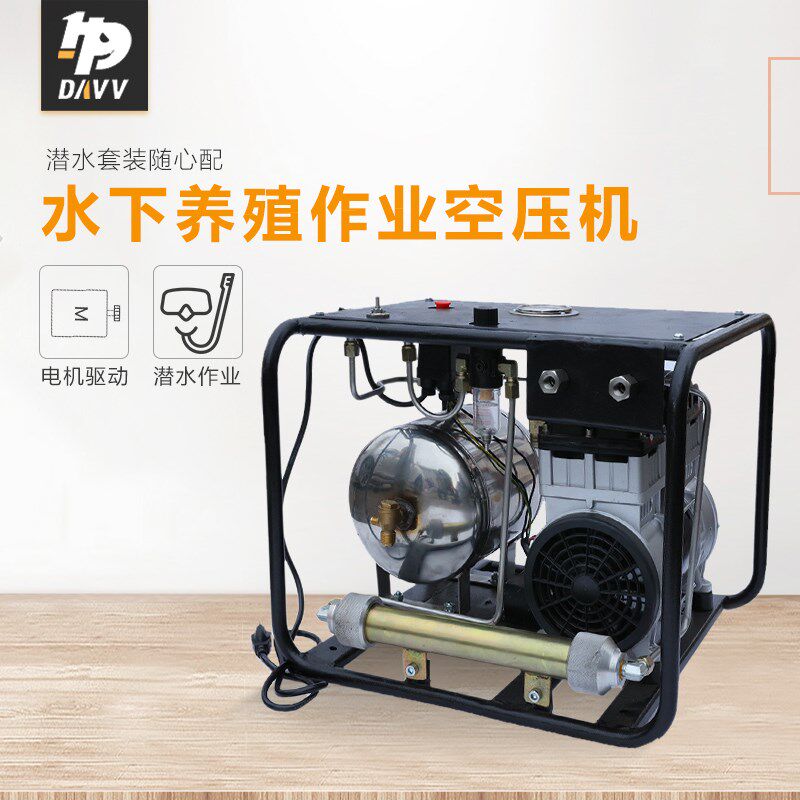 DAVV长管供气浮潜气泵无油空气压缩机 海底作业海水养殖供氧机