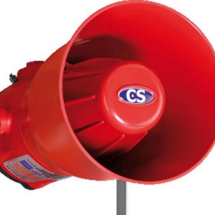 C&S YL20/D10/A/WN YA30/D/RF/WR Clifford&Snell 探测器