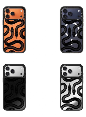 【PX＆FC】大王蛇蛇纹 适用于iPhone17promax手机壳新款苹果15pro透明14plsu防摔16镜面1磁吸Magsafe12潮牌
