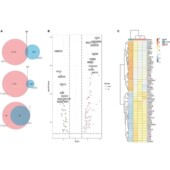 药物设计 分子对接 虚拟筛选 蛋白对接……可视化