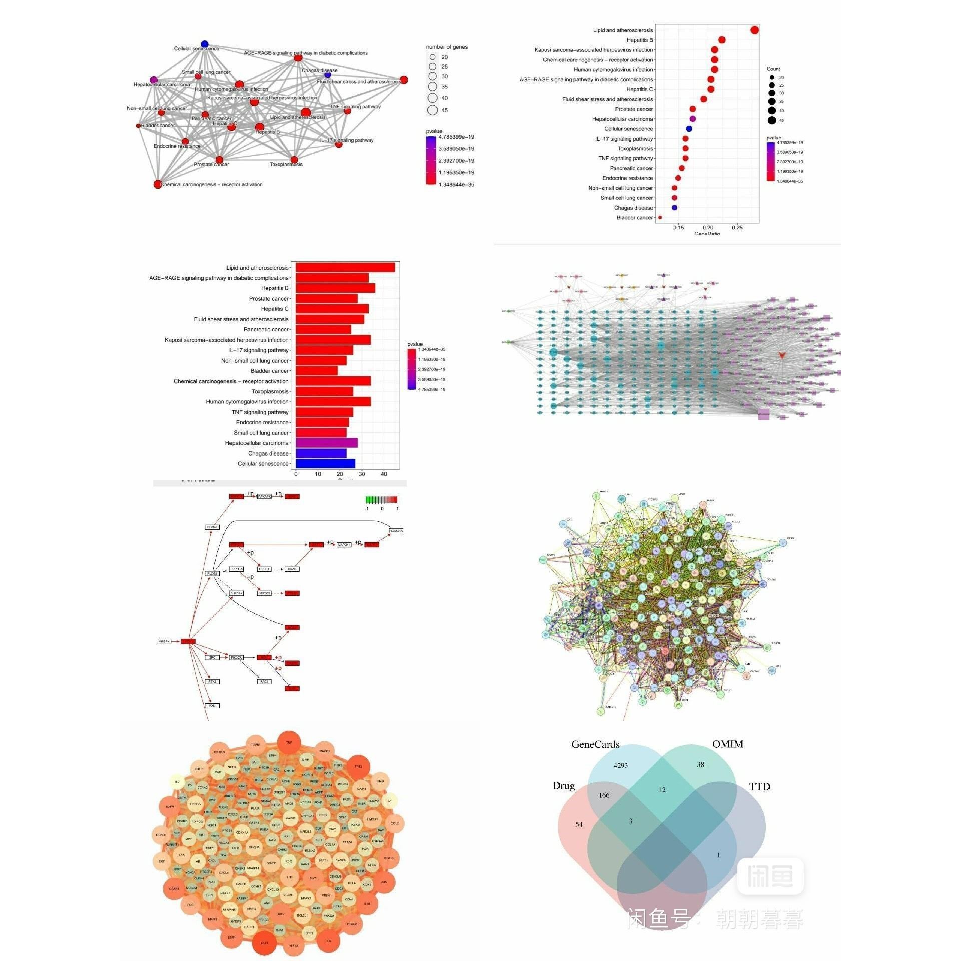 生信作图GO KEGG GSEA功能注释通路富集生信分析气泡柱状曲线图
